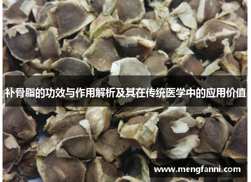 补骨脂的功效与作用解析及其在传统医学中的应用价值